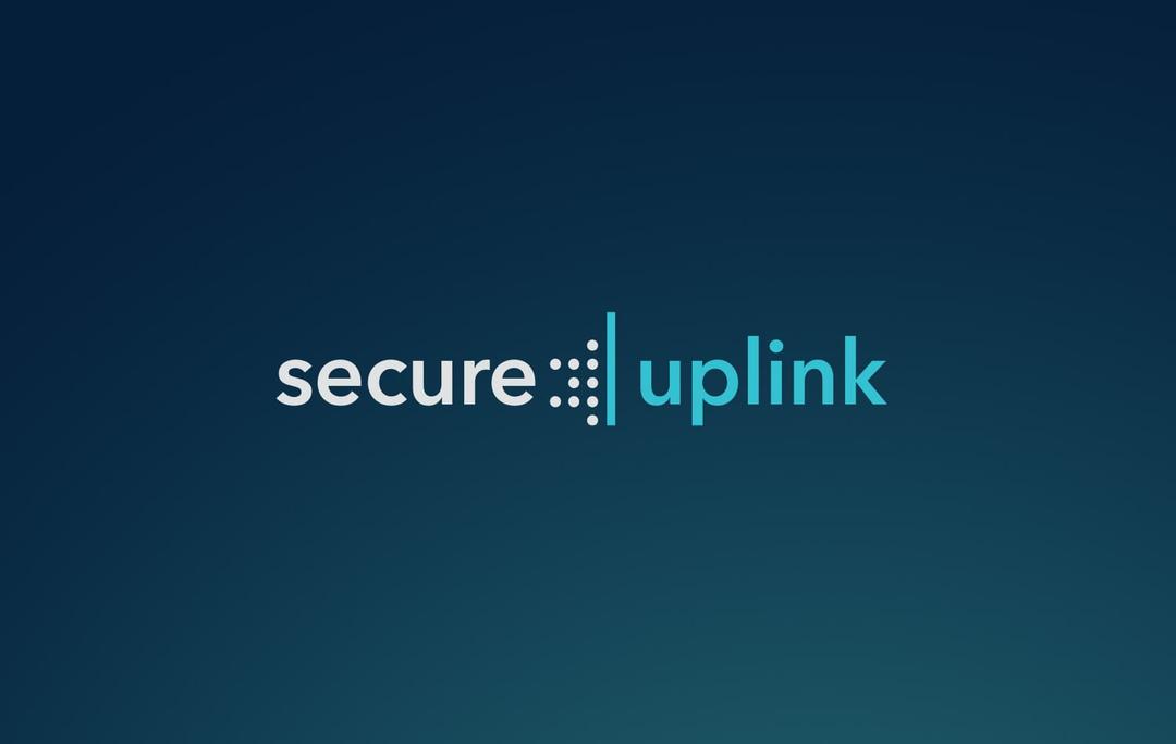 SecureUplink™ DDoS Attack Prevention and Security Measures